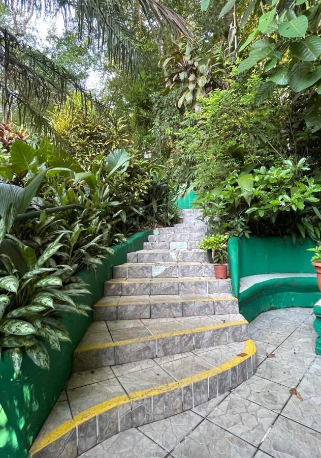 Manuel Antonio Park House - Adults Only Hotel Bagian luar foto
